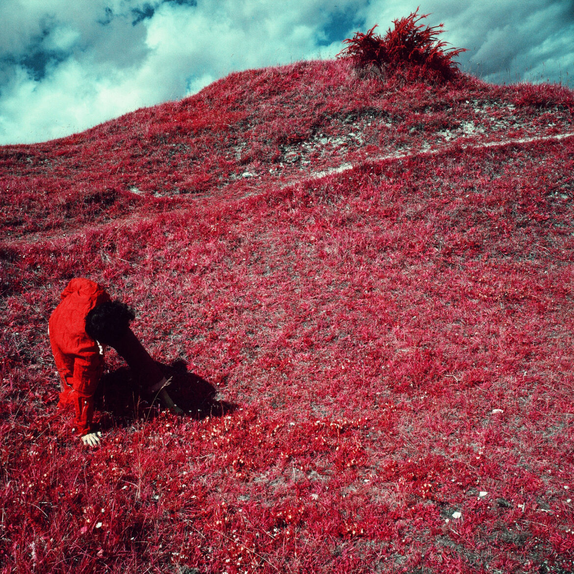 SPRING/SUMMER 2021 | SEASON | TENDER CO. STORES